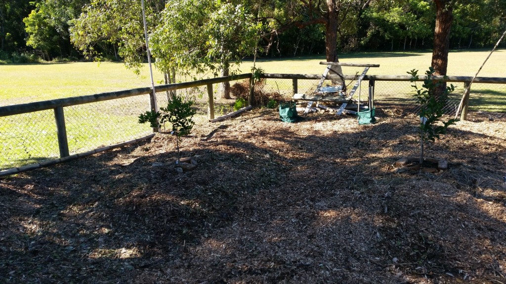 Weeded and Mulched