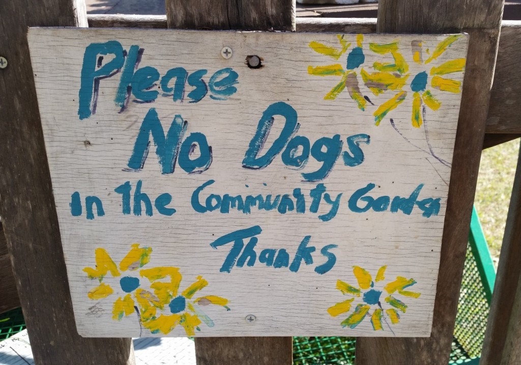 no-dogs